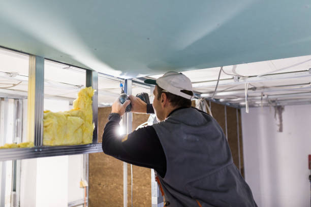 Best Insulation Installation Services in Holly Ridge, NC